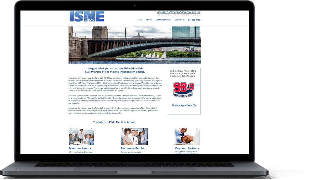 Photo of original ISNE website homepage